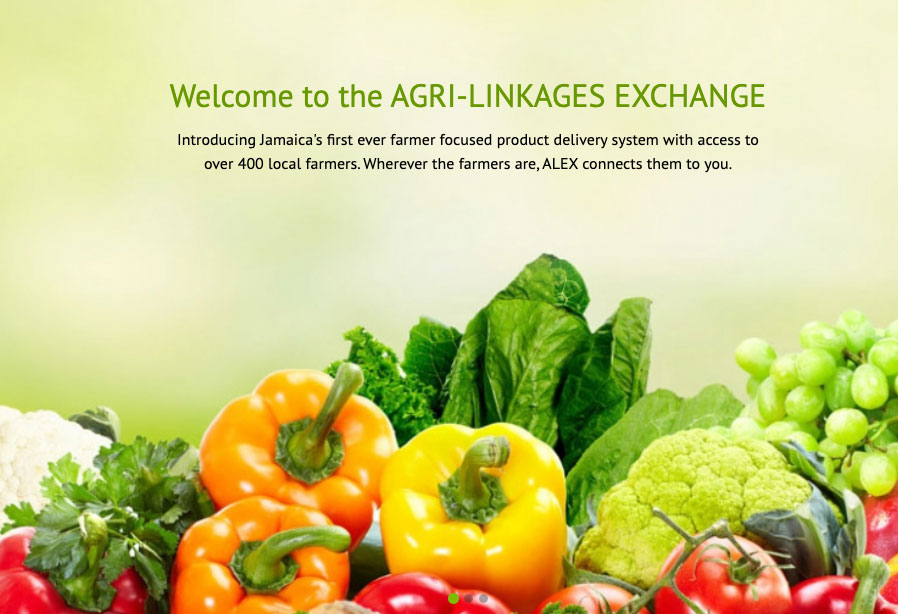 Agri-Linkages Exchange (ALEX)