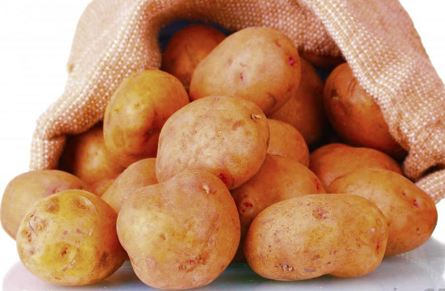 National Irish Potato Production Programme