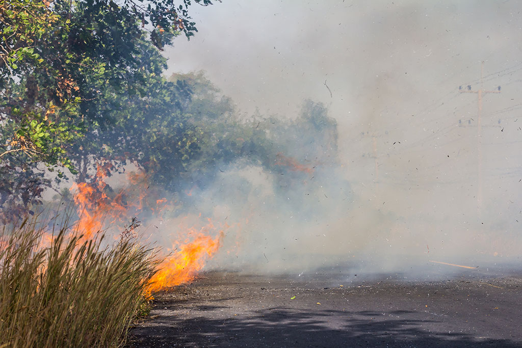 Bush Fire Prevention Tips