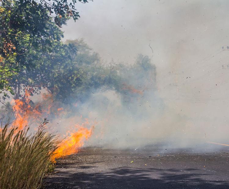 Bush Fire Prevention Tips