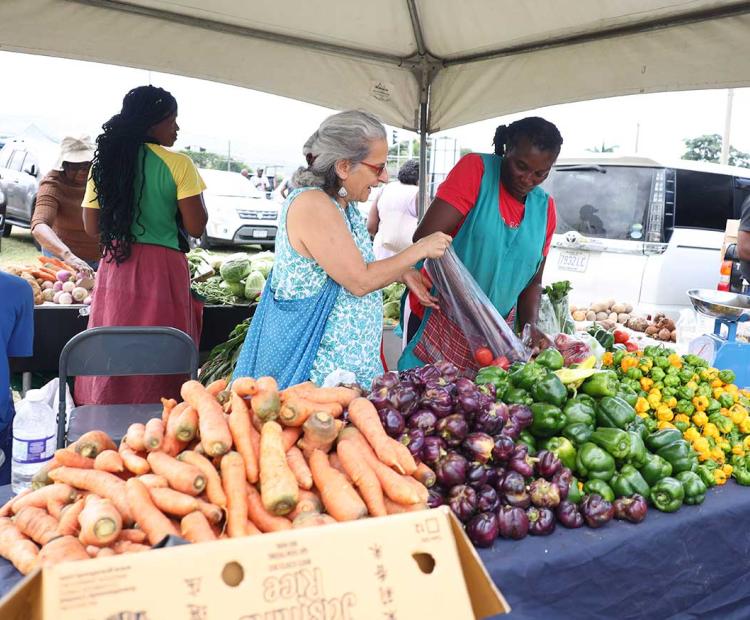 RADA Leads Hurricane Melissa Recovery Efforts