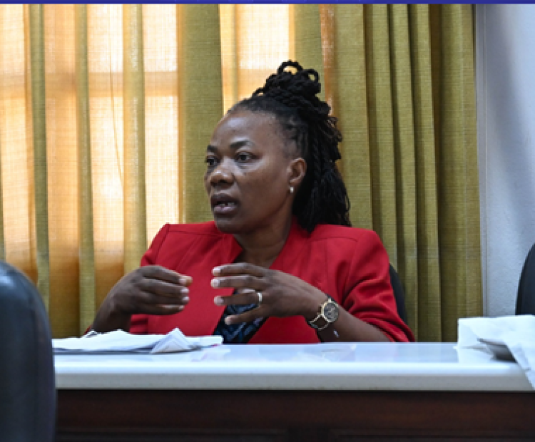 RADA Parish Office in St. Mary Targets Farmers with Irrigation Systems